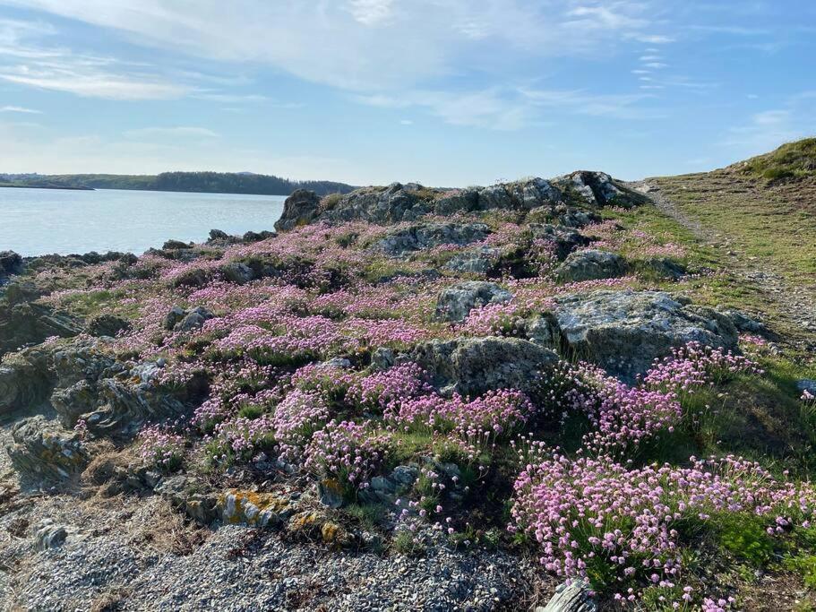 Entire Guest Suite In Four Mile Bridge, Rhoscolyn Valley 外观 照片